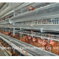 H Frame Battery Cage for Layer Farm